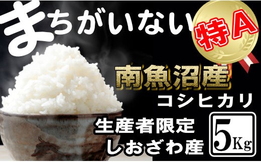 
                  【令和8年産　新米予約】生産者限定／契約栽培 南魚沼しおざわ産コシヒカリ5Kg【銘柄米 ブランド米 精米 こしひかり コシヒカリ 魚沼産 新潟米 産地直送 お米 米 こめ コメ ご飯 御飯 ごはん】【2026年10月上旬より1ヶ月以内に順次発送予定】
                