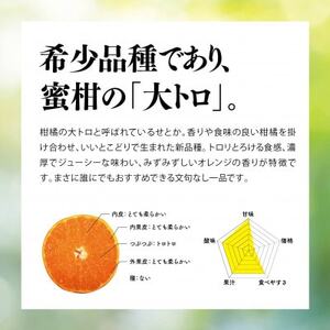天空の果樹園から届く そらせとか (5kg)【訳あり】【D95-8】【1668516】