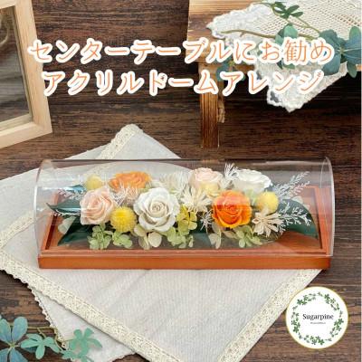 ふるさと納税 春日部市 プリザーブドフラワーアレンジ【シュクレ/オレンジ】 春日部市 シュガーパイン