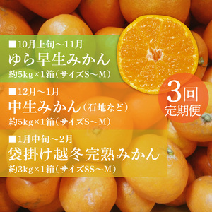 曽保みかん食べくらべ（3回定期便）フルーツ ふるーつ 果物 くだもの 三豊市【配送不可地域：北海道・沖縄県・離島】_M72-0009