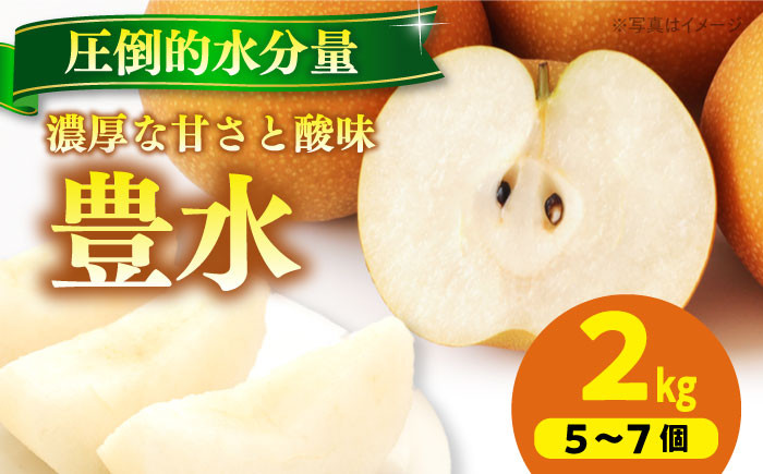 
                  梨 【先行予約】【2026年9月上旬から順次発送】特選 豊水 梨2kg（5個から7個入り） ほうすい 旬 旬のフルーツ 甘い みずみずしい ジューシー 美味しい おいしい 2kg 2キロ 5個 愛媛県大洲市/幸野観光なし園 [AGBD005] 先行予約 予約 ナシ 梨 なし 新高 果物 くだもの フルーツ 愛媛県産 おすすめ 人気 お取り寄せ 送料無料 贈答 ギフト おやつ デザート 秋
                