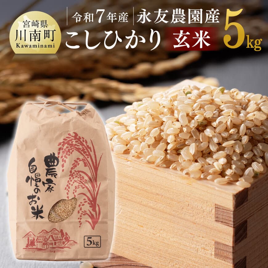 【ふるさと納税】【令和7年産】永友農園産「こしひかり(玄米)」5kg ‐ 米 お米 2025年産 国産 九州産 宮崎県産 コシヒカリ 送料無料 C10601