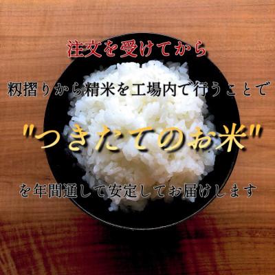 ふるさと納税 水戸市 【毎月定期便】茨城県産コシヒカリ　宝蔵米　15kg(5kg×3)全3回 |  | 02