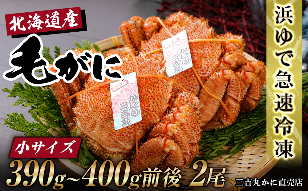 
            【小サイズ】北海道産 冷凍ボイル毛ガニ (390g-400g前後) 2尾 
          