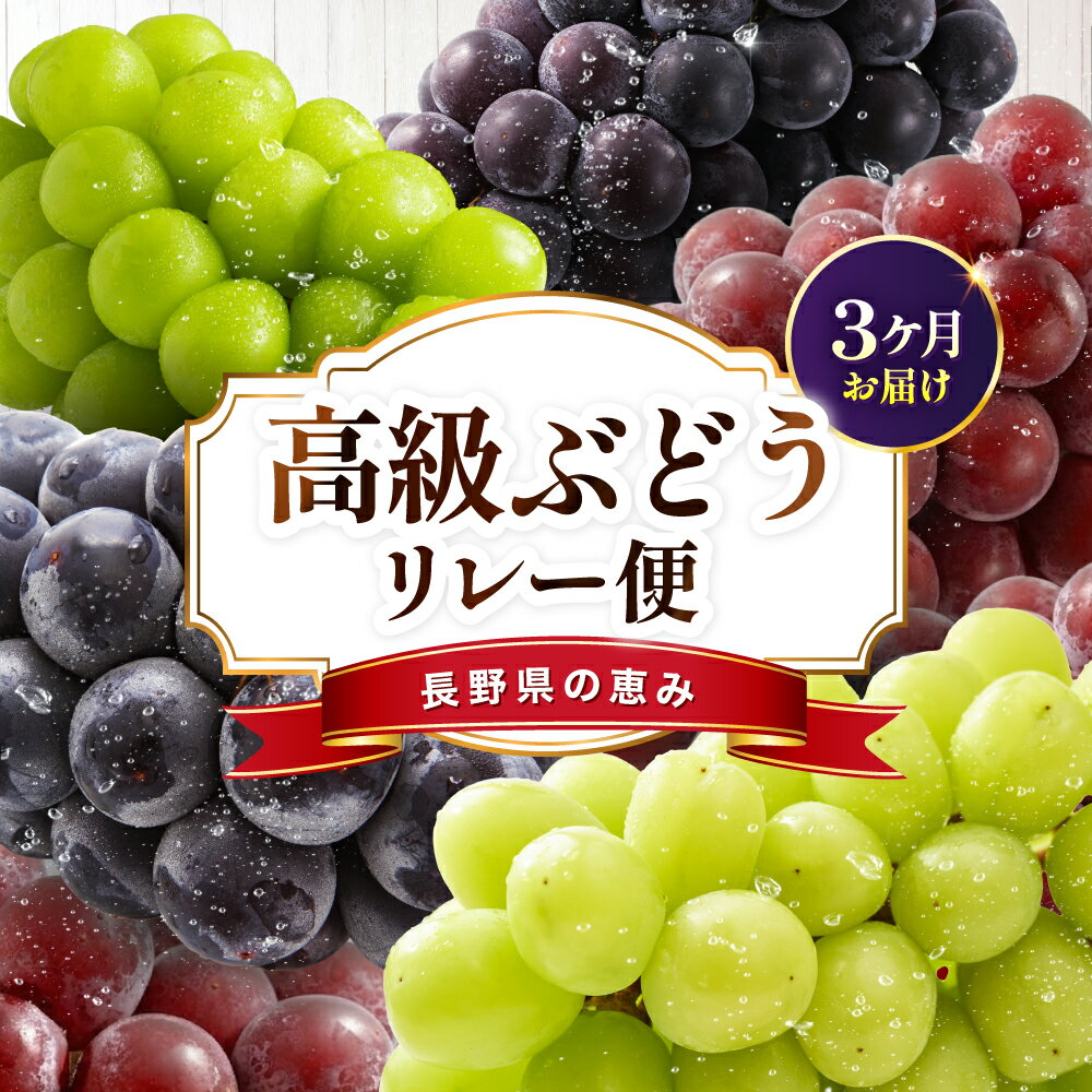 【ふるさと納税】【定期便3回】長野県産 高級 ぶどう リレー便 ( 3ヶ月 )| 山下屋荘介 果物 リレー くだもの フルーツ ぶどう 旬 産地直送 定期便 長野県 飯田市 信州
