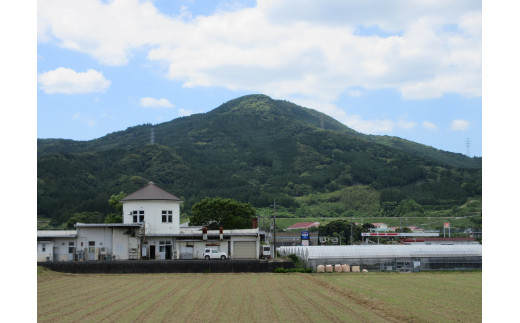 南波多町まちづくり運営協議会の活動を応援！【思いやり型返礼品（協賛型）】 O023