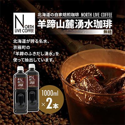 ふるさと納税 江別市 ノースライブコーヒー　羊蹄山麓湧水珈琲(無糖) 1000ml×2本セット