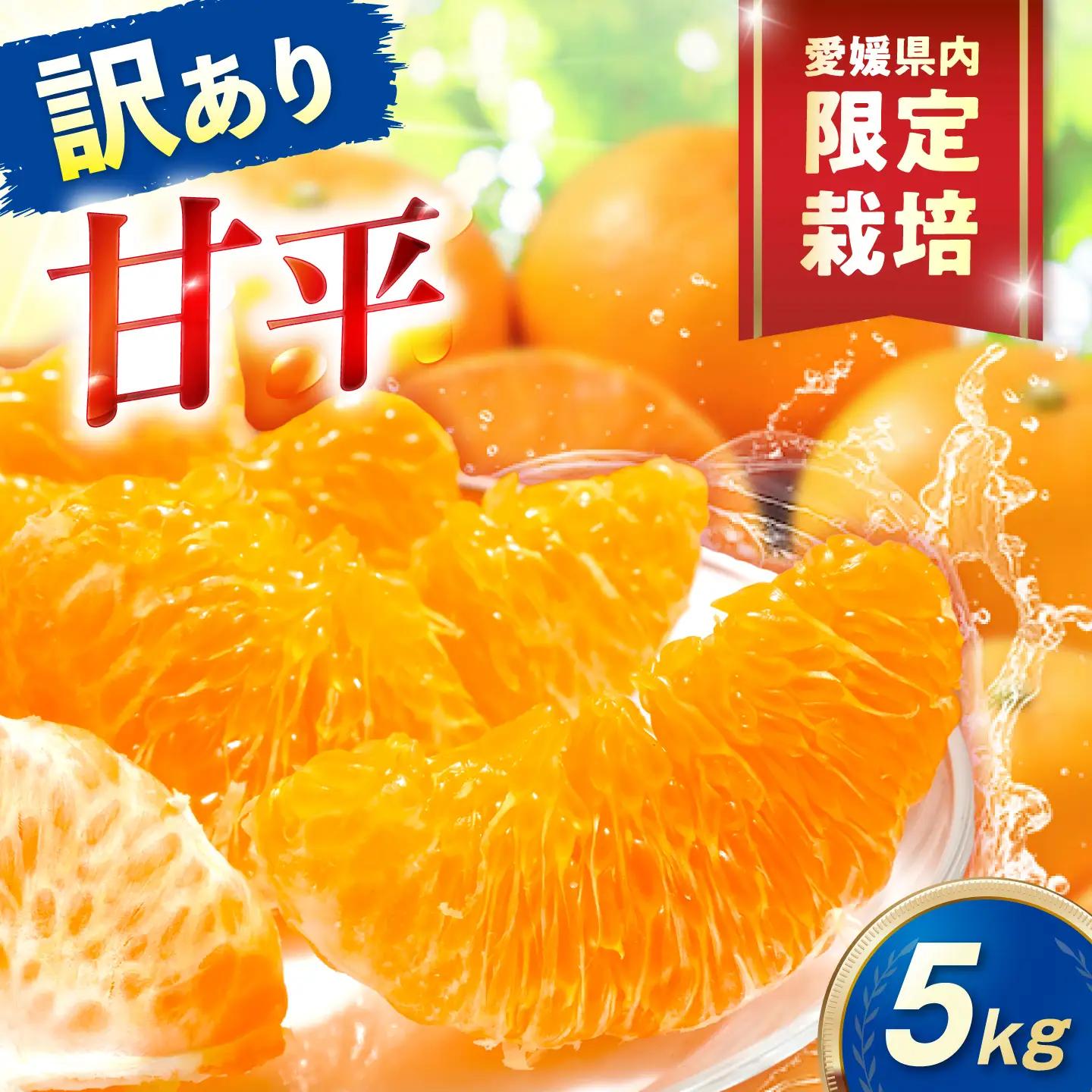 みかん 訳あり 甘平 サイズ不揃い 約5kg【1月上旬から2月下旬まで順次発送】/ フルーツ 果物 蜜柑 ミカン オレンジ 訳あり 訳アリ 小玉 甘い 先行予約 5kg 愛媛 / 愛媛県砥部町/えひめ農園組合[BJAZ025]