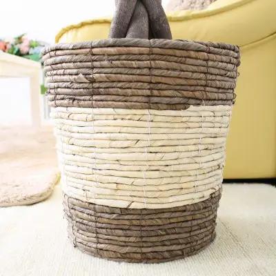 【観葉植物】パキラ 8号 ストライプバスケット鉢カバー 土の表面:ウッドチップ【観葉植物 インテリア 部屋 おしゃれ 福岡県 筑前町 送料無料 AG045】