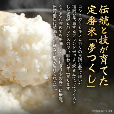 ふるさと納税 古賀市 福岡県産米 夢つくし 5kg(令和7年度　精米) |  | 02
