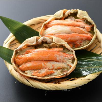 ふるさと納税 越前町 【越前海岸・美味直送シリーズ】越前がに・ズワイ甲羅盛り2個セット