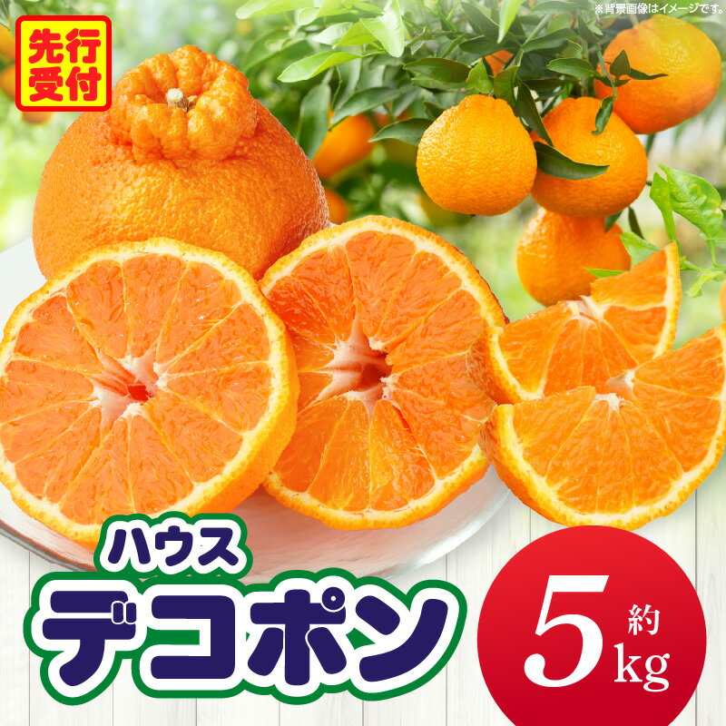 【ふるさと納税】ハウスデコポン約5kg（12－24玉）【香川県共通返礼品】 デコポン 甘い 酸味 柑橘 柑橘系 果物 フルーツ 青果 果実 果肉 デザート グルメ おすすめ 贈答 贈り物 贈答用 ギフト プレゼント 特産品 特産 取り寄せ 香川県 三木町 ふるさと 送料無料