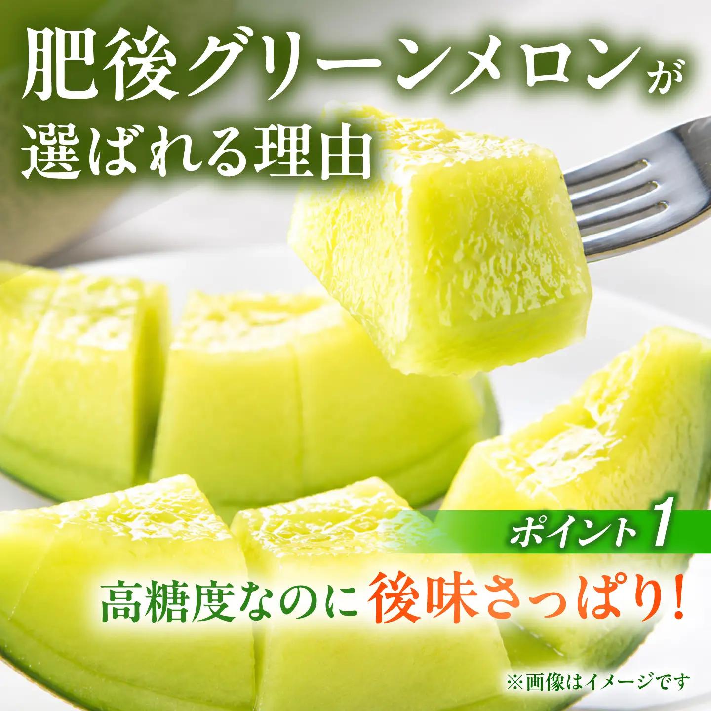 【先行予約】肥後グリーンメロン 1玉 計約2kg【合同会社 福福堂】[ZCN020]