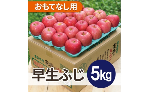 ＜26年10月から順次発送＞平均糖度12度以上! 早生ふじ 約5kg おもてなし用 青森県産 りんご【1734950】