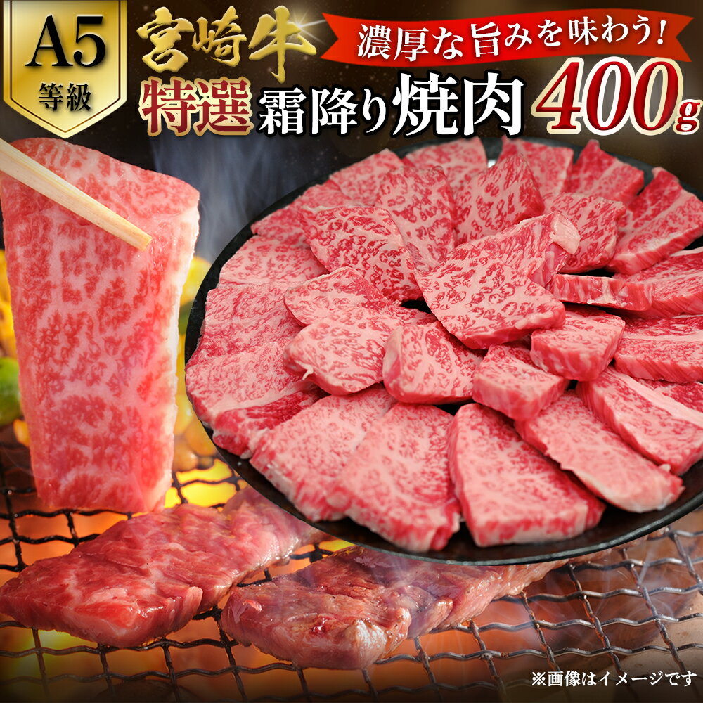 【ふるさと納税】【A5等級】宮崎牛特選霜降り焼肉 （400g×1P） 宮崎牛 ブランド牛 和牛 牛肉 焼肉 特選和牛 霜降りA5 国産牛 牛 肉 お肉 ふるさと 人気 おすすめ 贈答 ギフト お裾分け プレゼント 精肉 小分け 宮崎県 小林市 送料無料