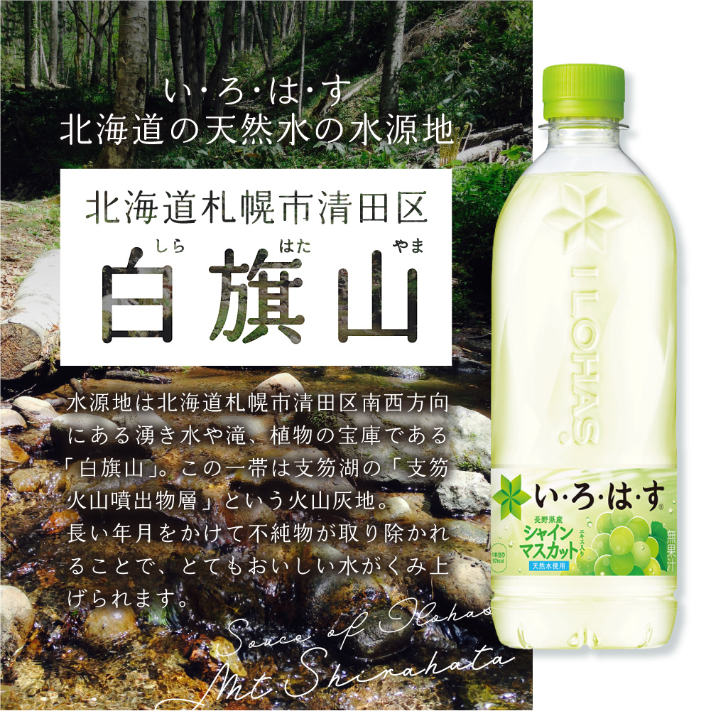 【３ヶ月定期便】い・ろ・は・す シャインマスカット540mlPET×48本｜コカ・コーラ 飲料 ドリンク 飲み物 水 いろはす 北海道 札幌市