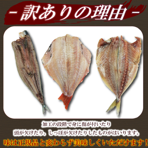 干物 約2.2kg 【訳あり】干物