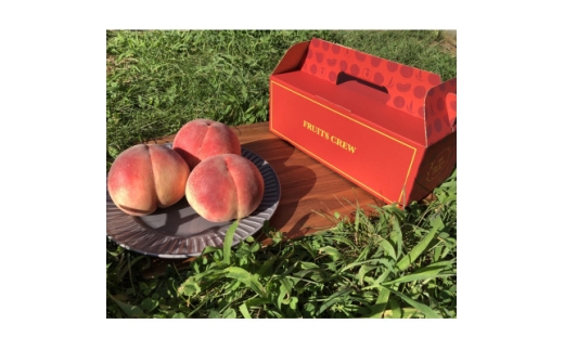 ＜山梨生まれ激レア品種 夢桃香＞本場山梨品種指定お試し約1kg　6月下旬より順次発送【1704720】