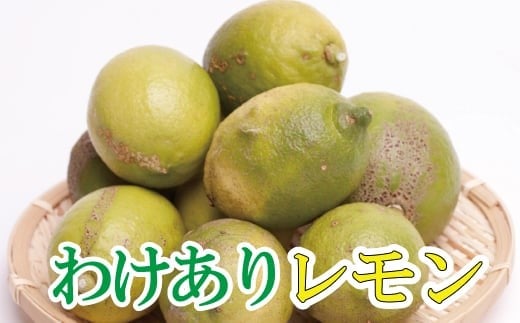 
            ＜先行予約＞家庭用 黒潮レモン 5kg+250g（傷み補償分）【和歌山有田産】【防腐剤・WAX不使用、安心の国産レモン】【わけあり・訳ありレモン】/ くだもの 果物 フルーツ 柑橘 レモン レモン果汁【ikd031C】
          