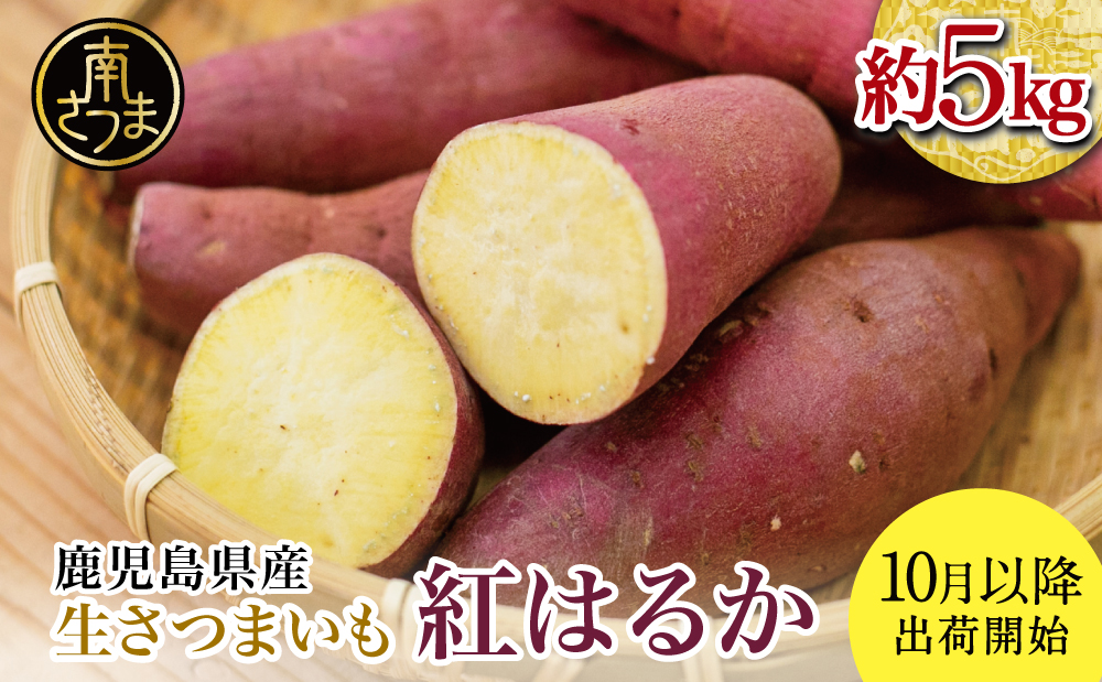 ★10月発送開始★ 鹿児島県産生さつまいも 「紅はるか」約5kg さつまいも 焼き芋 さつま芋 甘藷 サツマイモ べにはるか スイーツ JA 南さつま市