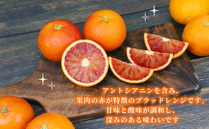 準 贈答用 ブラッドオレンジ タロッコ 5kg 矢野青果 先行予約 オレンジ みかん 柑橘 果物 くだもの オレンジフルーツ フルーツ 濃厚 甘い 甘味 蜜柑 準贈答用 贈答品 贈答 ギフト プレゼン
