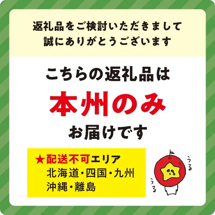 信州産 朝採り 【 白色 】 とうもろこし 8本 ～ 12本 ( 品種 おおもの ) 上倉荘 配送先は本州限定 2026年8月上旬頃から2026年9月中旬頃まで順次発送予定 信州 トウモロコシ コーン