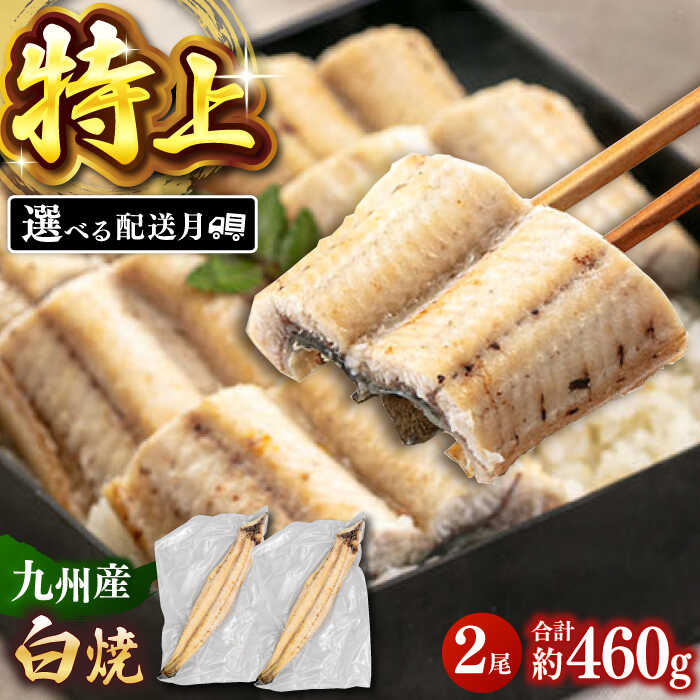 【ふるさと納税】【選べる発送月】 鹿児島産 うなぎ 白焼 2尾セット ▼ 国産 ウナギ 特大 うなぎ 鰻 丑の日 白焼き グルメ 小分け レンチン 桂川町/山水商事[ADAH009] 20000 20000円 2万円 以下