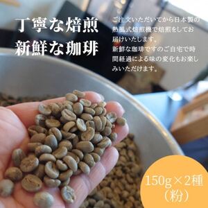 熊乃珈琲 スペシャルティコーヒー【浅煎り・中煎り】(粉)【1624368】