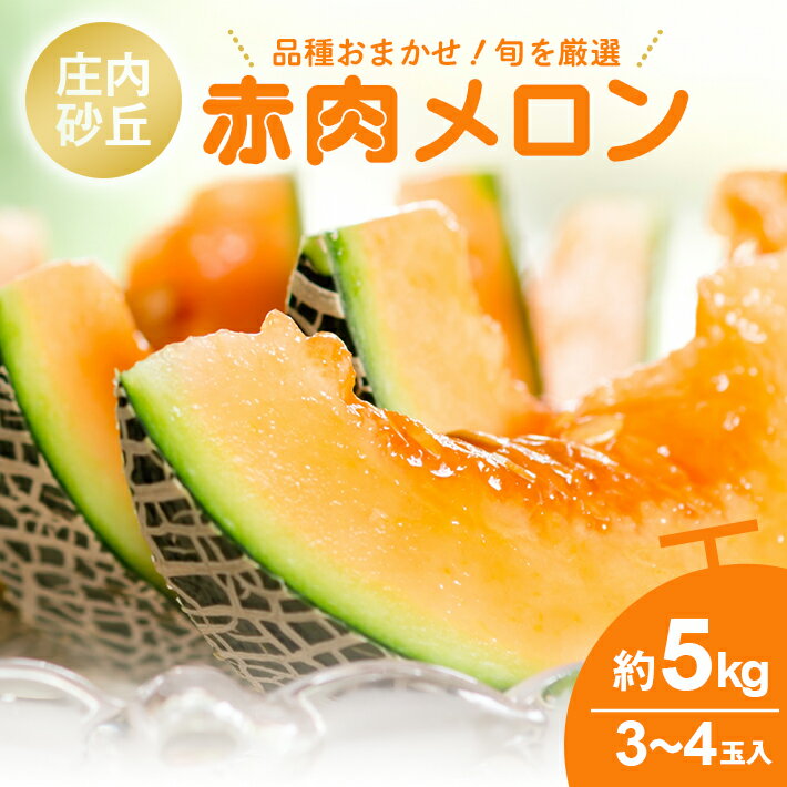 【ふるさと納税】庄内砂丘 赤肉メロン 品種おまかせ 3～4玉 約5kg 6月中旬〜7月下旬頃お届け ※着日指定不可 庄内砂丘メロン オレンジ 夏 果物 フルーツ くだもの 旬 東北 山形県 酒田市 庄内