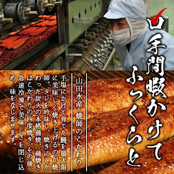 【志布志市人気No.1お礼の品】霧島湧水鰻の蒲焼き 160g以上×4尾＜計640g以上＞　うなぎ 鰻 ウナギ 4尾 国産 九州産 蒲焼き かばやき 冷凍 うな重 ひつまぶし タレ 山椒 ランキング 人