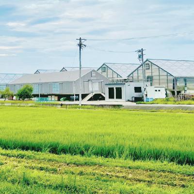 ふるさと納税 輪之内町 岐阜の鮎　冷凍子持鮎(約1kg:10〜13尾) |  | 02
