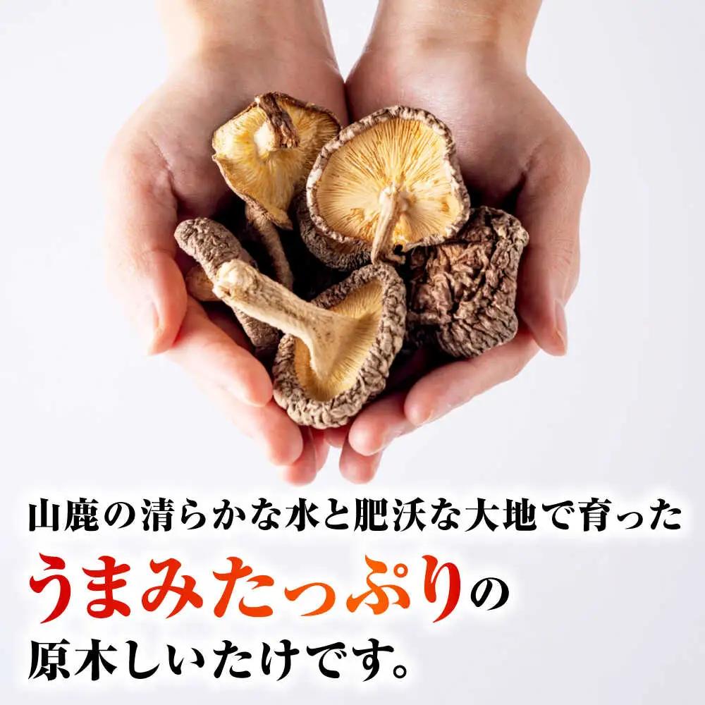 原木 干ししいたけ 小袋210g（70g×3袋） 【すみれファーム】[ZEP067]