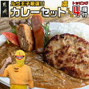 【ふるさと納税】ルウ王子厳選カレーセット プロが選ぶカレーをも〜っと楽しめるトッピング4種付 - ビーフカレー 10食分 チキン南蛮/豚バーグ/メンチカツ/チーズフランク 観音池ポーク キャンプ/BBQ 送料無料 MJ-2707【宮崎県都城市は2年連続ふるさと納税日本一！】