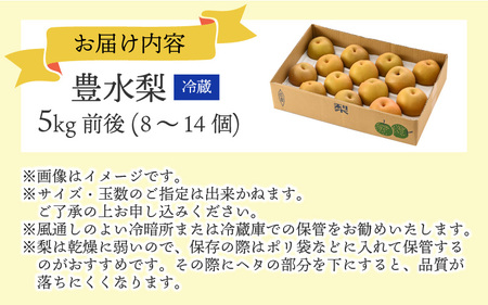 【先行予約】豊水梨 5kg前後（8～14個）新鮮ジューシー梨【2026年8月下旬以降順次発送予定】 [A-15004]