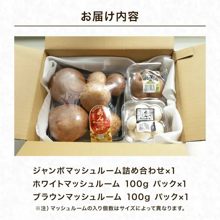 島人マッシュルームセット（ジャンボ×1ホワイト・ブラウン各100gセット） マッシュルーム きのこ詰合せセット ホワイトマッシュルーム ブラウンマッシュルーム 栄養豊富 低カロリー 糸満市 沖縄県 1