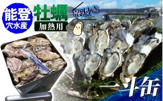 【先行予約】鮮度抜群！獲れたてをお届け！ 能登穴水の牡蠣(殻付) 加熱用 一斗缶【2026年2月以降順次発送】 | 奥能登 能登半島 冷蔵 真牡蠣 カンカン焼き ナイフ付き 肉厚 殻付き 一斗缶 海鮮 魚介類 海産物 バーベキュー BBQ 貝 オイスター