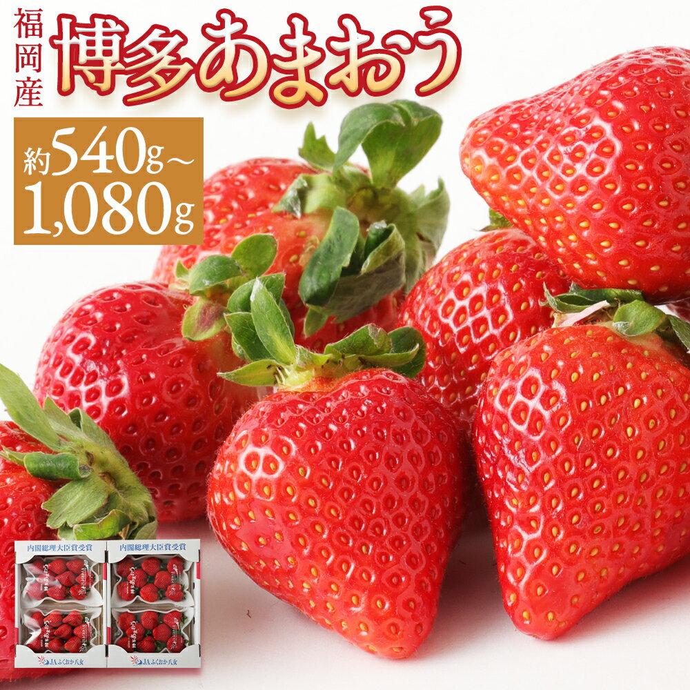 【ふるさと納税】いちご あまおう 約540g(約270g×2パック)/約1kg(約270g×4パック) 選べる内容量 イチゴ 苺 果物 くだものフルーツ 福岡県産 九州産 送料無料 選べる発送月【2025年12月上旬～2026年3月下旬に順次発送予定】