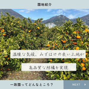 【ふるさと納税】【先行予約】 八朔 10kg 家庭用 サイズ混合 柑橘 フルーツ はっさく 産地直送 お取り寄せ 送料無料