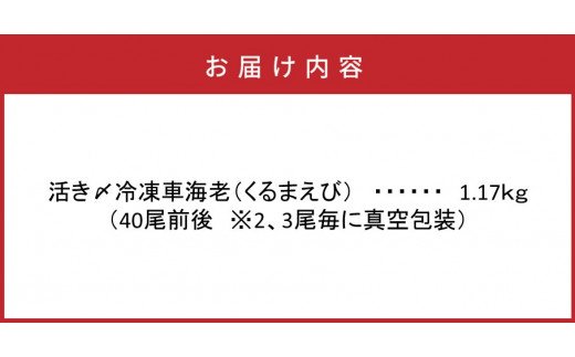 鮮度抜群！活き〆冷凍車海老（1.17kg）(29004C)_イメージ5