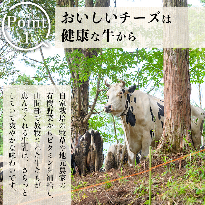 y466 放牧牛乳の手作りチーズセット(5種) 国産 鹿児島県産 湧水町産 乳製品 ちーず 生チーズ モッツァレラチーズ ボッコンチーニ クリームチーズ ストリングチーズ スカモルツァ 調味料 おつま