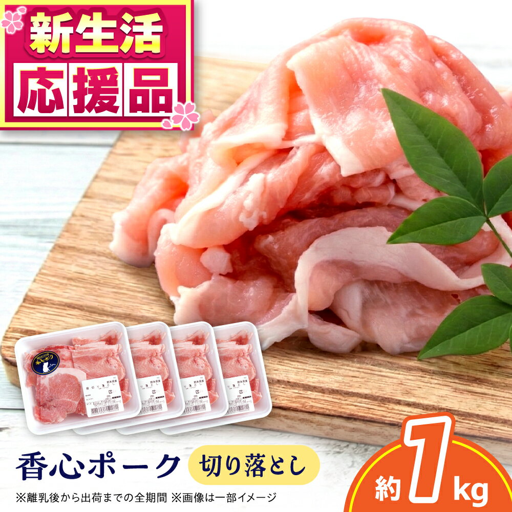 【ふるさと納税】『香心ポーク』切り落とし 約250g×4パック（計約1kg）豚肉 冷凍 熊本県産 【有限会社 コーシン】 豚肉 切り落とし 国産 熊本県 熊本 冷凍 1kg 小分け 250g 炒め物 豚汁 豚丼 肉じゃが 生姜焼き 小間切れ 煮物 こま切れ おかず セット [AYCK024]