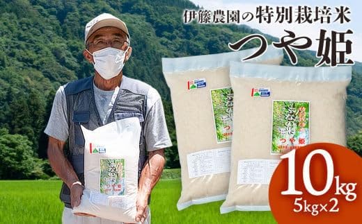 【令和7年産】特別栽培米 つや姫 10kg（5kg×2袋） 山形県鶴岡市  伊藤農園（伊藤嘉吉）　| つやひめ 10キロ 米 コメ こめ ブランド米 食品 ご飯 ごはん 美味しい おすすめ 人気 東北