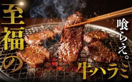 【湘南ハラミ】 計 1.3kg以上 【 牛ハラミ TKG025 】