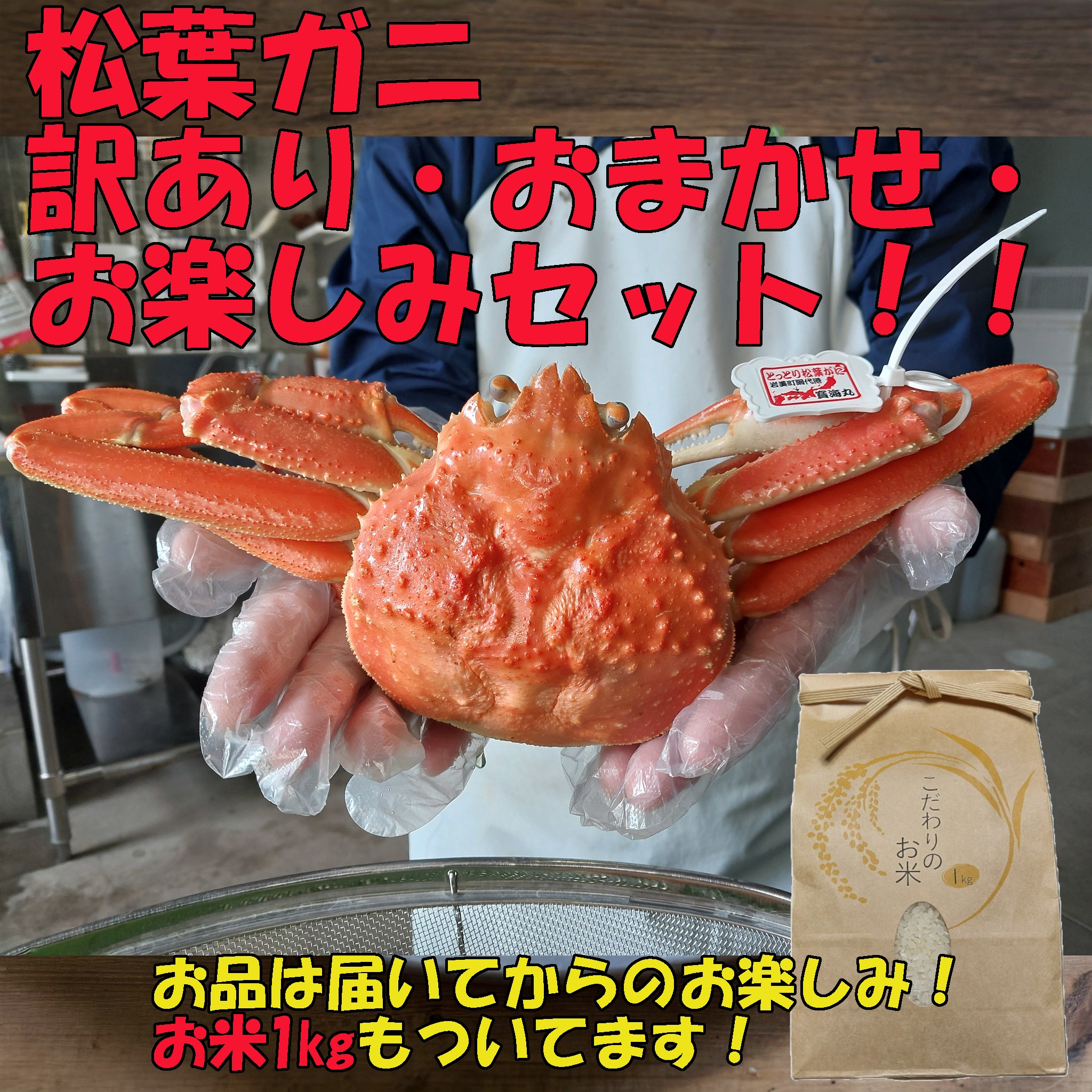 
                  岩美町特産松葉ガニ 訳ありお任せお楽しみセット｜鳥取 岩美 かに 蟹 ※お届けは2026年11月～【24040】
                