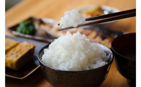 江戸伝承厳選棚田米４Kg（２kg×２） お米 コメ 