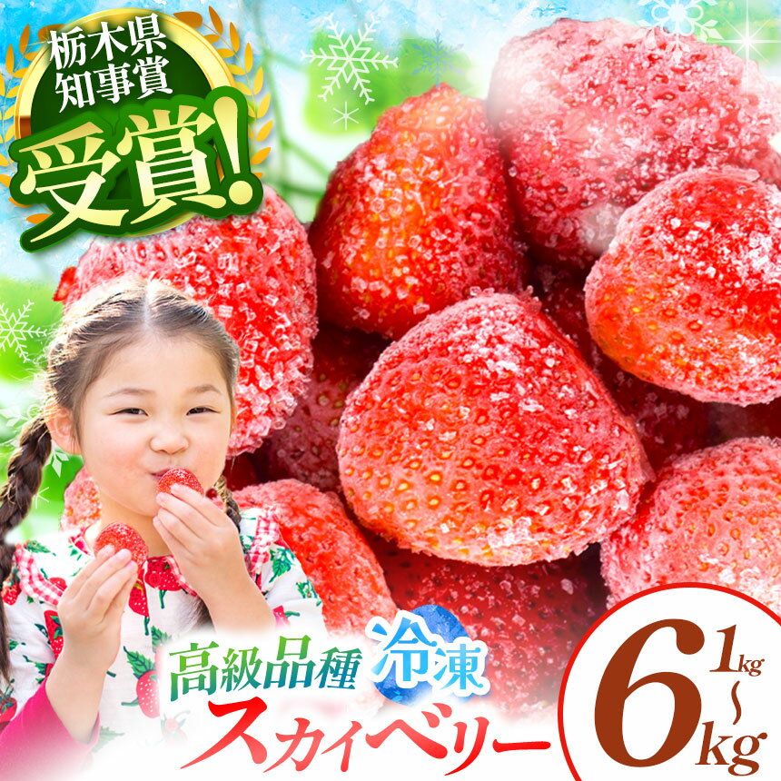 【ふるさと納税】【選べるグラム数】【選べる定期便】高級品種 冷凍いちご スカイベリー 定期便 3回 6回| 選べる 冷凍 ジューシー プレミア スカイベリー いちご 夏 おやつ アイス スムージー スイーツ アレンジ 美味しい 甘い 高級 フルーツ 果物 お取り寄せ 栃木県 矢板市