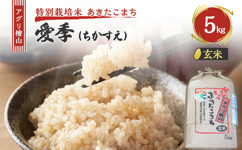 令和7年産 新米 アグリ檜山米 愛季(ちかすえ) 玄米 5kg  あきたこまち  お米 おこめ こめ コメ ごはん ご飯 大粒 令和7年  秋田 秋田県 能代市