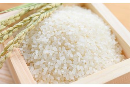 ＜定期便＞白河市産コシヒカリ精米5kg×3ヶ月連続 米 お米 コメ ごはん ご飯 食品 F25R-012