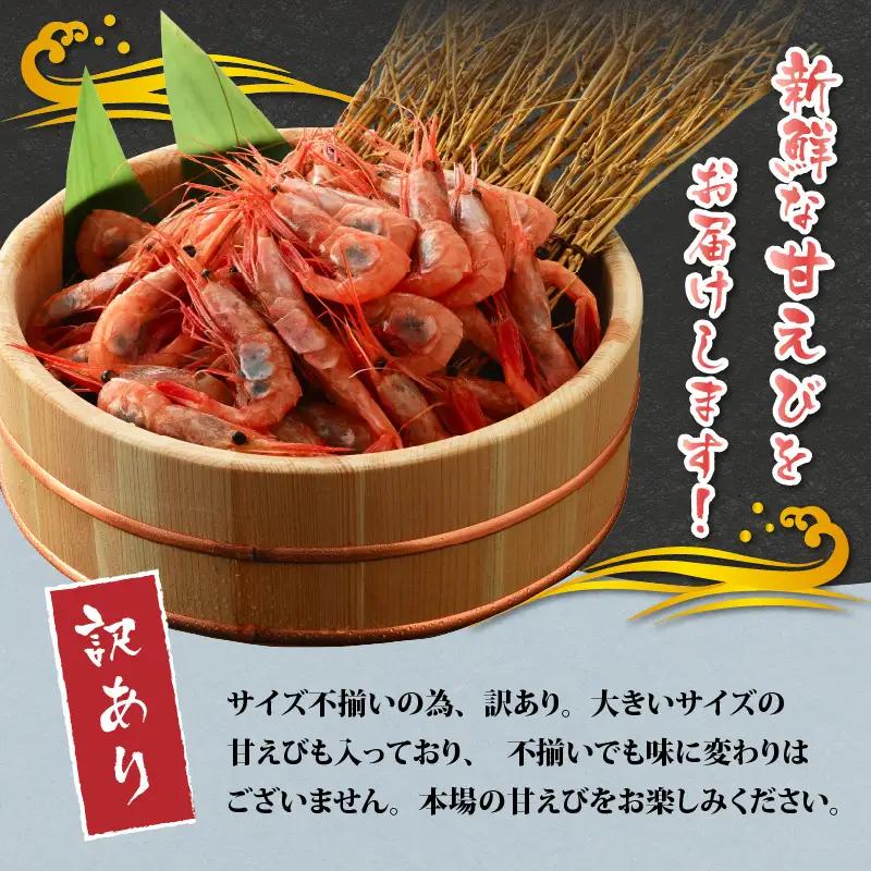 【訳あり】三国港から産地直送！「三国港甘えび」 500g+100g 合計600g～本場の濃厚甘海老～【えび エビ 濃厚 甘い 刺身 生 国産】 [A-6233]