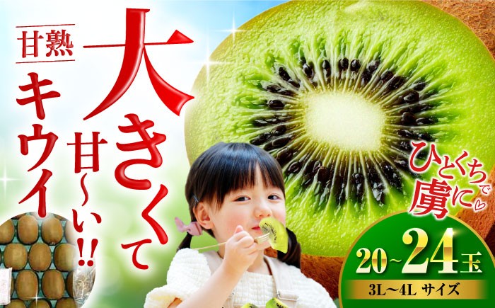 
                  キウイフルーツ【12月中旬から順次発送】甘熟 キウイ 20 から 24玉（ 3L から 4L サイズ） 愛媛県大洲市/沢井青果[AGBN001] フルーツ 愛媛県産 人気 お取り寄せ ギフト
                